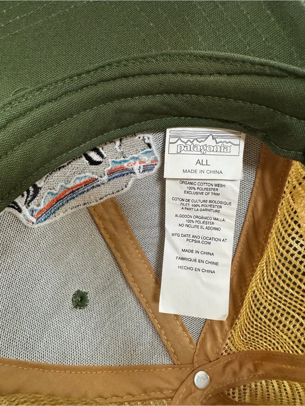 Patagonia trucker hat